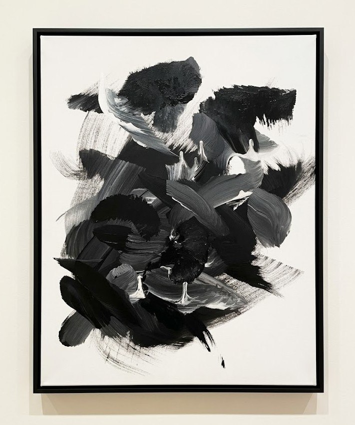 Monochrome Study